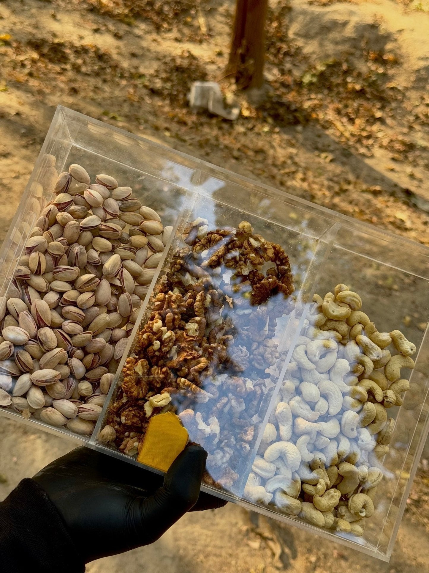 PREMIUM DRY FRUITS BOX🎁 (40 % OFF) - My Store